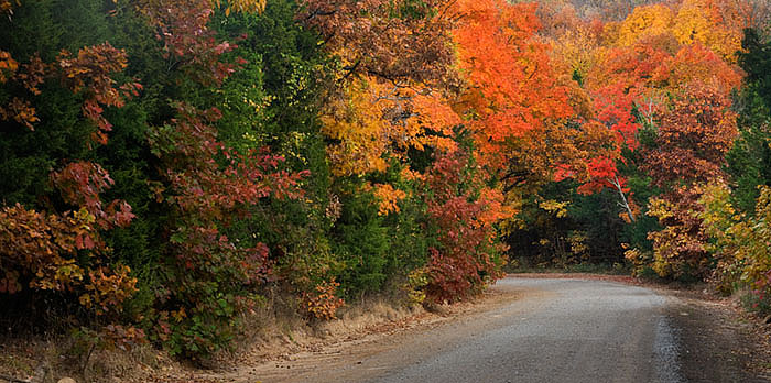 arkansas, fall photo