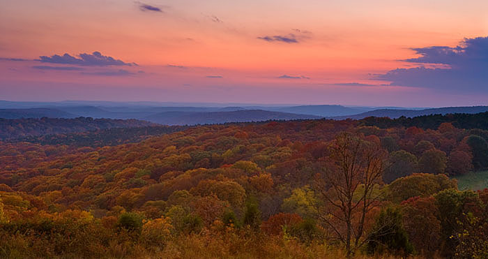 arkansas, fall photo