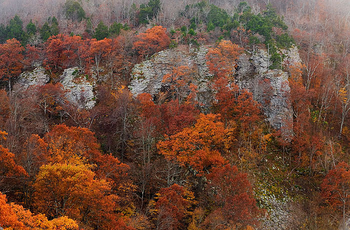arkansas, fall photo