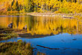 Woods Lake Reflection print