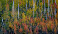 Red and Yellow Aspens print