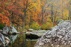 Fall colors Richland Creek