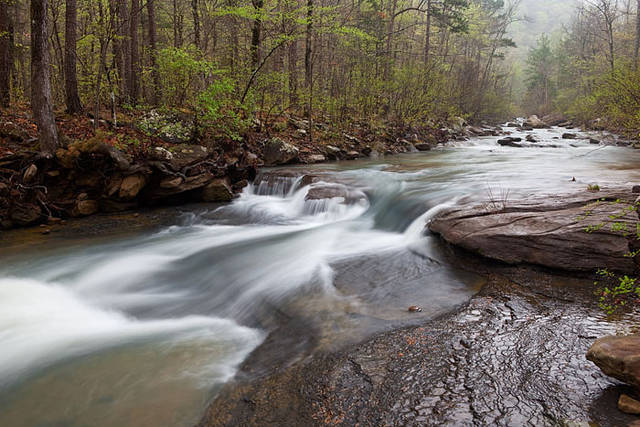 Haw Creek cascade print