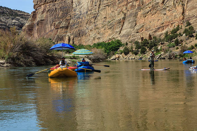 Rafts and SUPs at Echo Park print