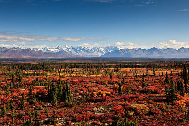 The Alaska Range print