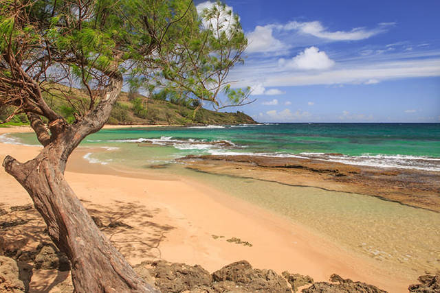 Noth Shore Beach print