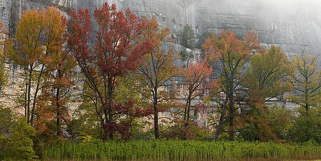 Lifting fog at Steel Creek print