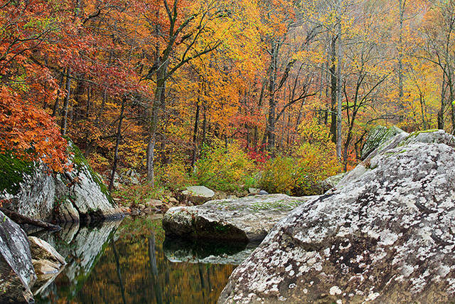 Fall colors Richland Creek print