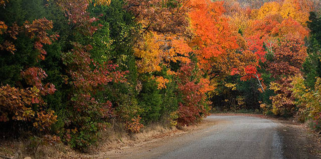 Fall colors near Chester Arkansas print