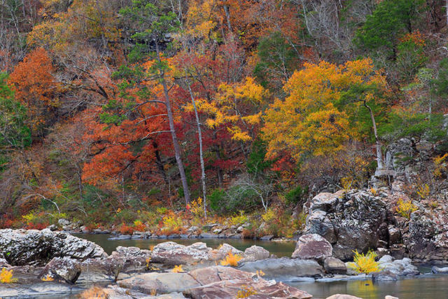 Fall on the Cossatot River print