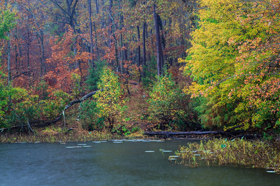 Cove Lake Mount Magazine State Park, Arkansas Tom Kennon Photography