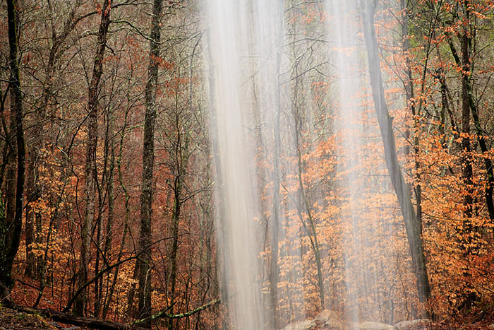 Looking through the waterfall the golden beech trees have not dropped their leaves in early March