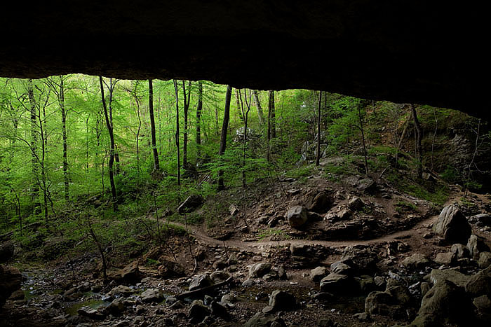 Cob Cave is located in Lost Valley near the Buffalo National River. The path you see leads to Eden Falls