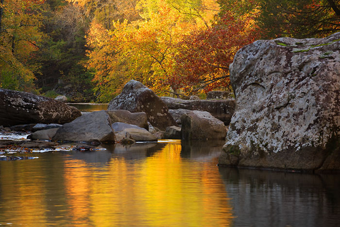 Early morning light reflects among the boulders on Richland Creek