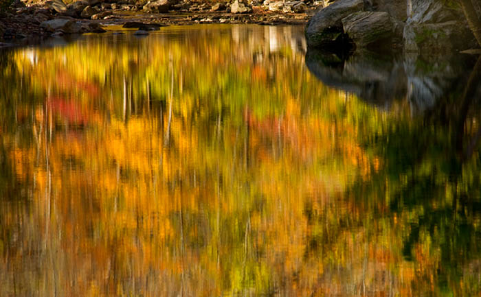 Abstract reflections on Richland Creek