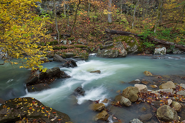 Fall on Spirit's Creek